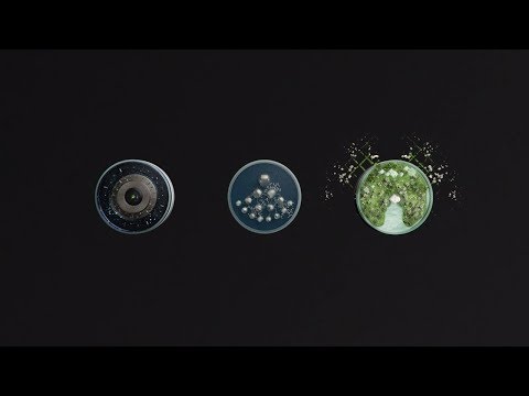 Let's do this | Make your impact with Deloitte