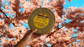 this $6 film looks better than portra