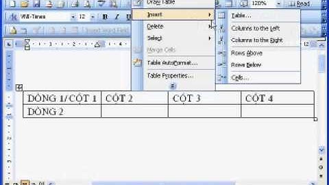 hướng dẫn sử dụng MS Word 2003 phần 4-1.mp4