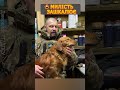 🐶🐈 Хвилинка милоти від ЗСУ! Наш воїн про свого чотирилапого друга