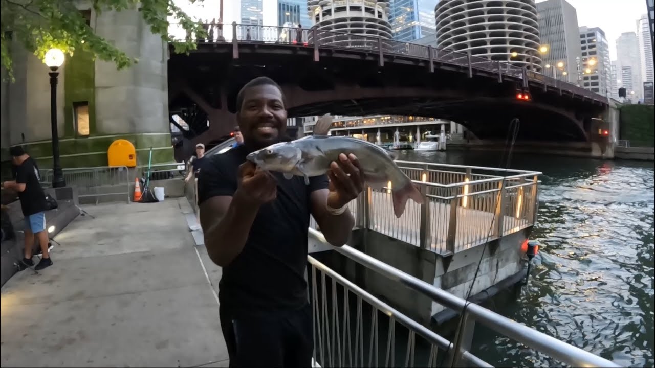 Drop shotting In Chicago for anything that bites