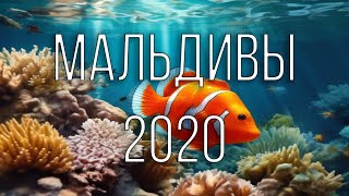 Мальдивы - 2020