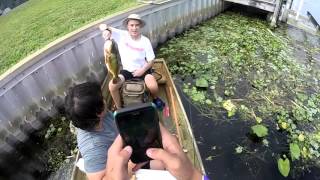 Peacock Bass On a Rubber Worm!