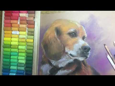 絵画　ガラス製　犬　指名手配　ビーグル　バットドック　baddog パステルに挑戦 -ビーグル犬- #dog #pastel #pasteldrawing