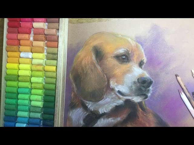 パステルに挑戦 -ビーグル犬- #dog #pastel #pasteldrawing