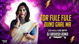 Tor Fule Fule Duno Gaal Ma Gori !! Santosh Yadav !! Cg Holi Song !! Dj Aashish Remix