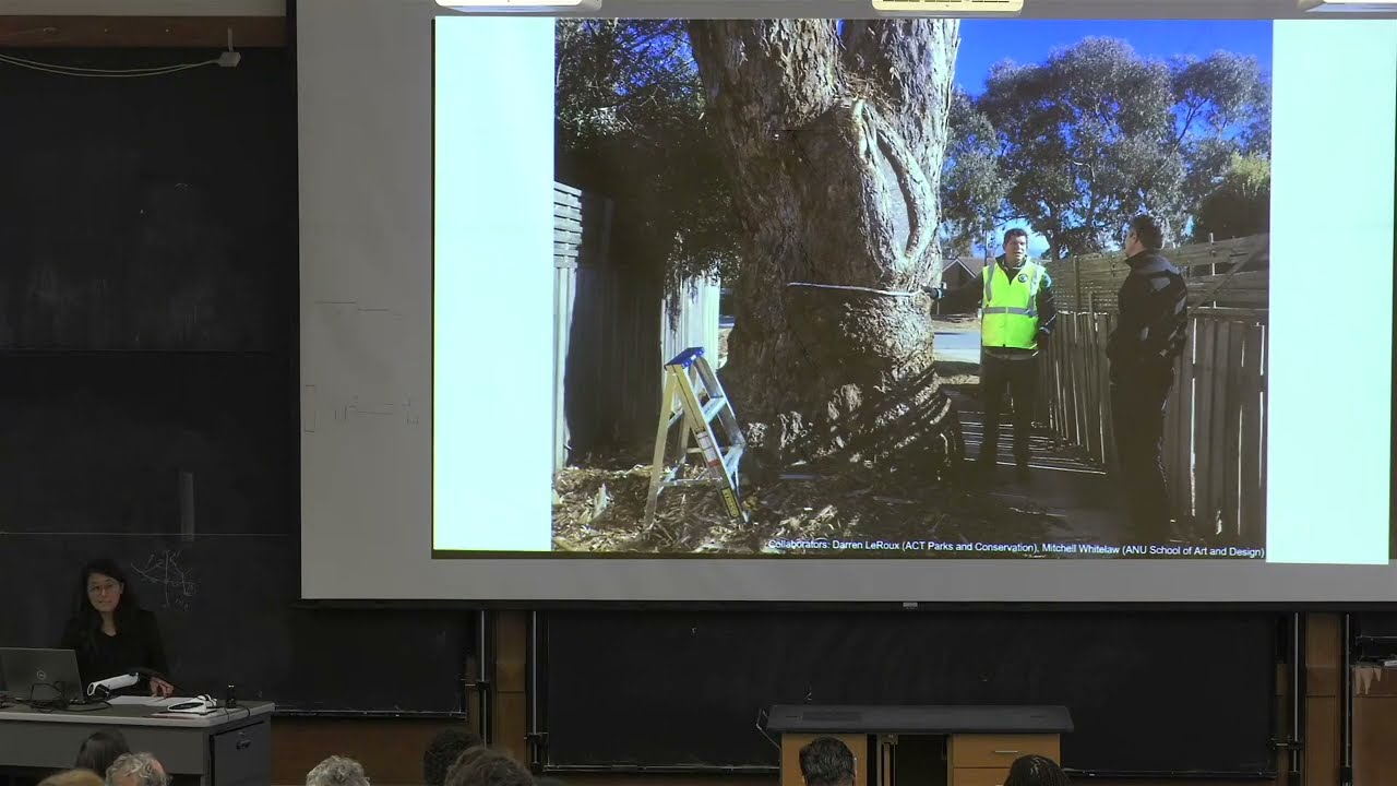 Joyce Hwang: In Consideration of Neighbors