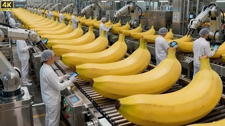 Inside a Banana Bread Factory: From Harvest to Delicious Banana Bread (Full Process)
