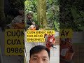 Cưa xích cắt cây mạnh ít kẹt lam xích dễ nổ làm thế nào
