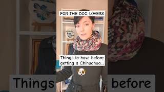 getting a new dog?chihuahua? Advice for new dog ownershumour #dog #shorts #youtubeshort #funny