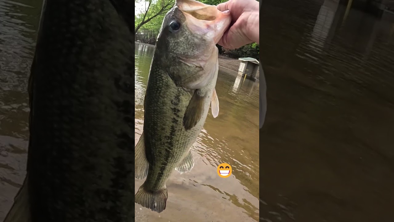Big Bass after a slow day of fishing! 