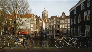 Download Lagu The rainforest helping to build Amsterdam MP3 Download Lagu The rainforest helping to build Amsterdam MP3