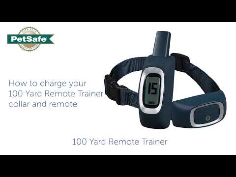 100 yard remote trainer