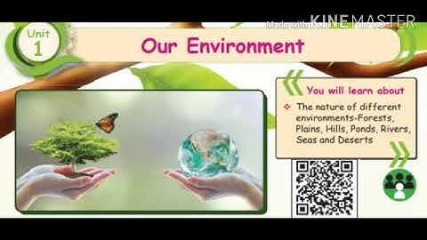 Class 2 EVS Day 1 Part 1 Lesson - Our Environment