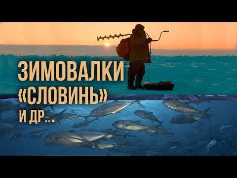 Видео: Подводная охота на зимовальных ямах. Сколько рыбы на ямах Словинь, Камень и др.?