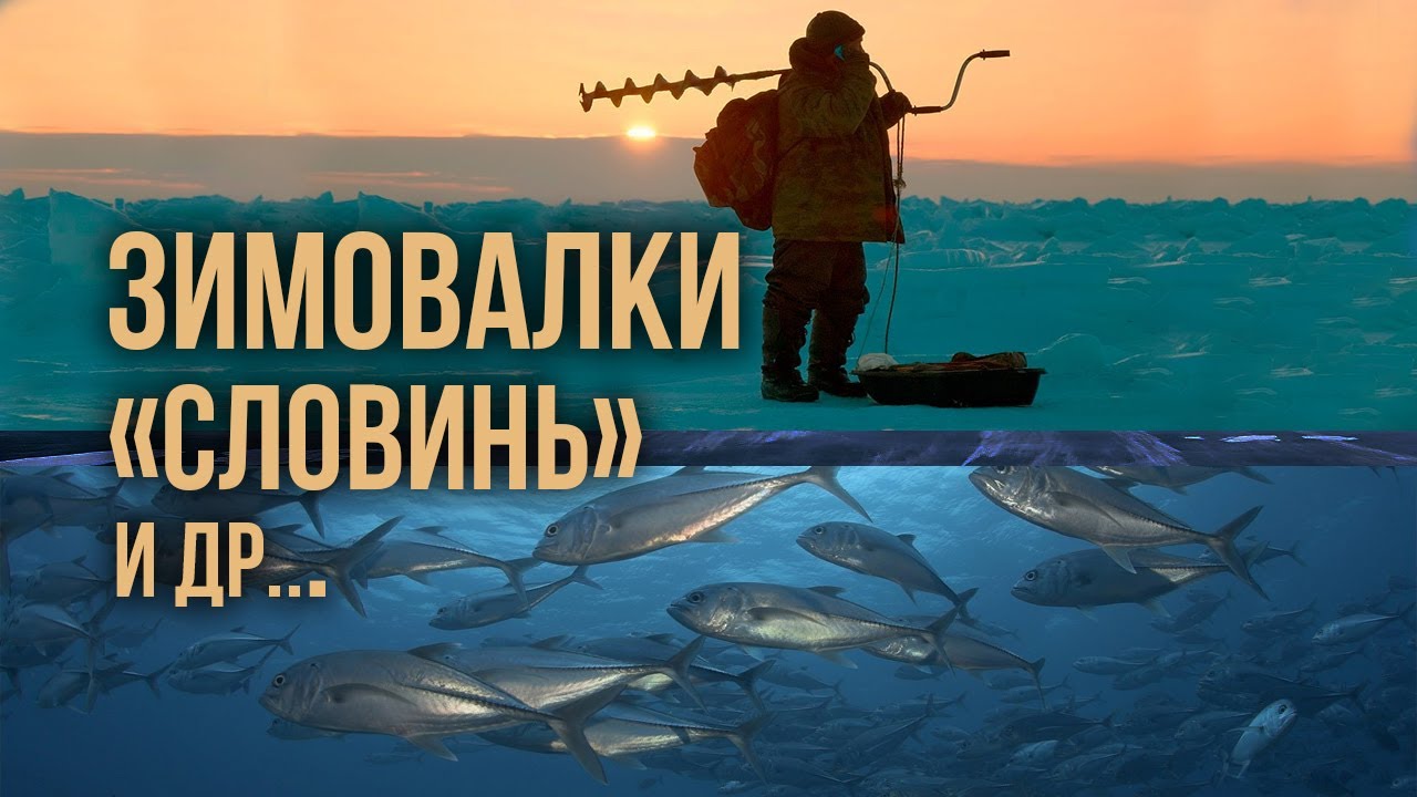 Подводная охота на зимовальных ямах. Сколько рыбы на ямах Словинь ...