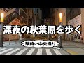 【アキバ】深夜の秋葉原を歩く【終電後の駅前〜中央通り】