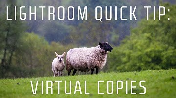 Lightroom Quick Tips - Why You Should Use Virtual Copies