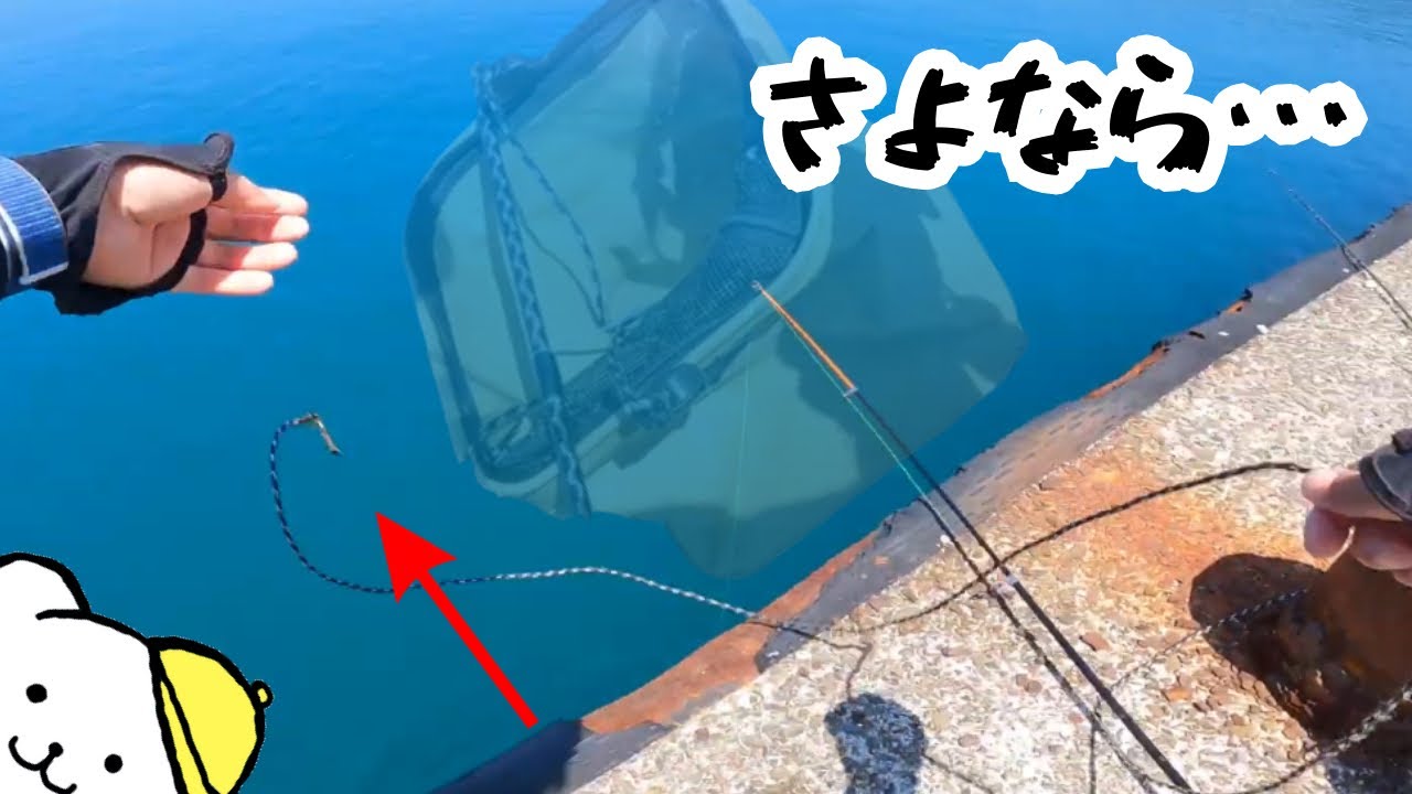 高知で釣った魚、全て沈む！釣り旅で大ハプニング…その後どうなる？【後編】