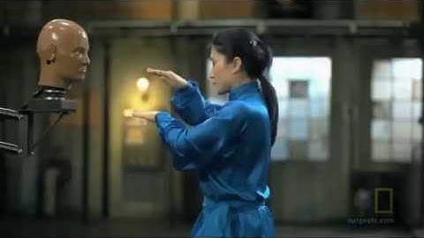Snake Style Kung Fu AMAZING SPEED