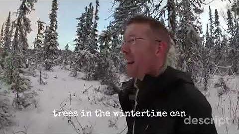 3 Days in Arctic Survival Shelter - Solo Bushcraft Camping & Blacksmithing