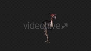 Axe Beak Walk Pack 4 In 1 Motion Graphics - Envato Elements