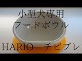 小型犬専用フードボウル「HARIO　チビプレ」商品レビュー