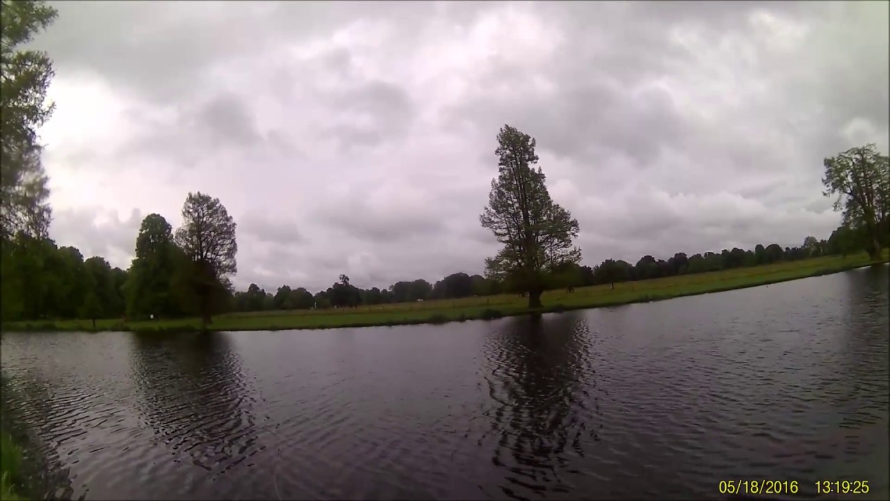 Fly fishing for trout at Syon Park YouTube