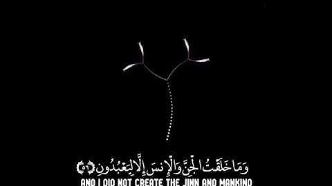 القرآن راحة لقلبك l القارئ محمد كمال هاشم