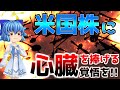 【米国株・試練の年】長期金利の行方次第!米国株に心臓を捧げる覚悟を持て!!【地獄のカーニバル】