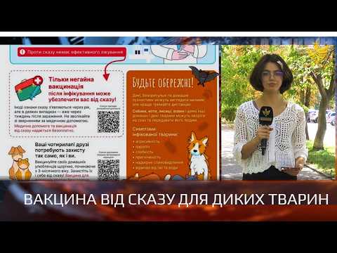 Fall oral vaccination campaign for wild animals kicks off in Prykarpattia
