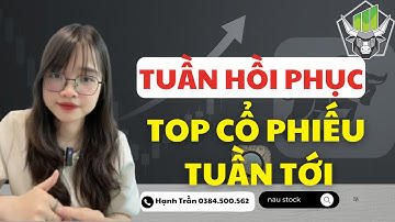 TUẦN HỒI PHỤC - TOP CỔ PHIẾU TUẦN TỚI I VND HPG CTG VPB PDR...