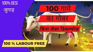 COW DUNG MANAGEMENT || गोबर प्रबन्धन || ORGANIC || जैविक खेती || 100 गाये का गोबर बिना लेबर डिकम्पोज़