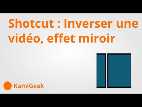 Vidéo: Comment Mettre Une Vidéo En Miroir