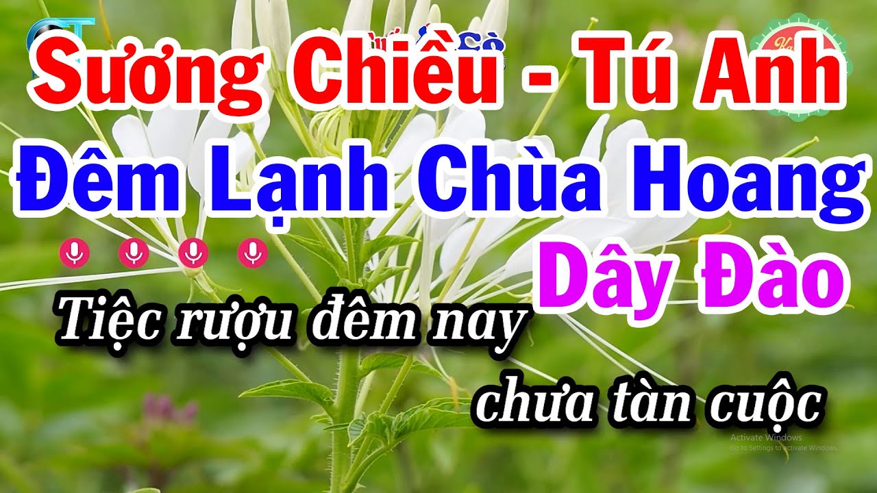 Karaoke Bản Vắn Sương Chiều Tú Anh Dây Đào - Đêm Lạnh Chùa Hoang