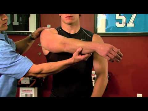 Cross Arm Stretch - Baseball Exercises - Stretches