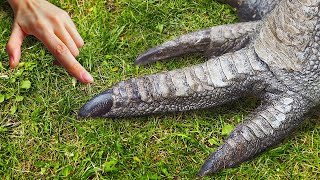 見た目とは全く違う背筋の凍るような生き物９選