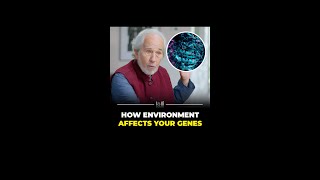 Master Your Genes: How Environment Shapes Your DNA 🧬🌿