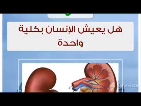 تقرير بعنوان هل يعيش الانسان بكلية واحدة الطالبة الرائعة أسيل مناصرة