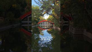 Golden sunlight at Sumiyoshi Taisha ⛩️🍁 #osakatravel #autumninjapan #osaka #travelgoal #traveling