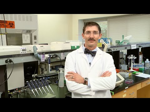 How to Design Hydrolyis Probes for qPCR