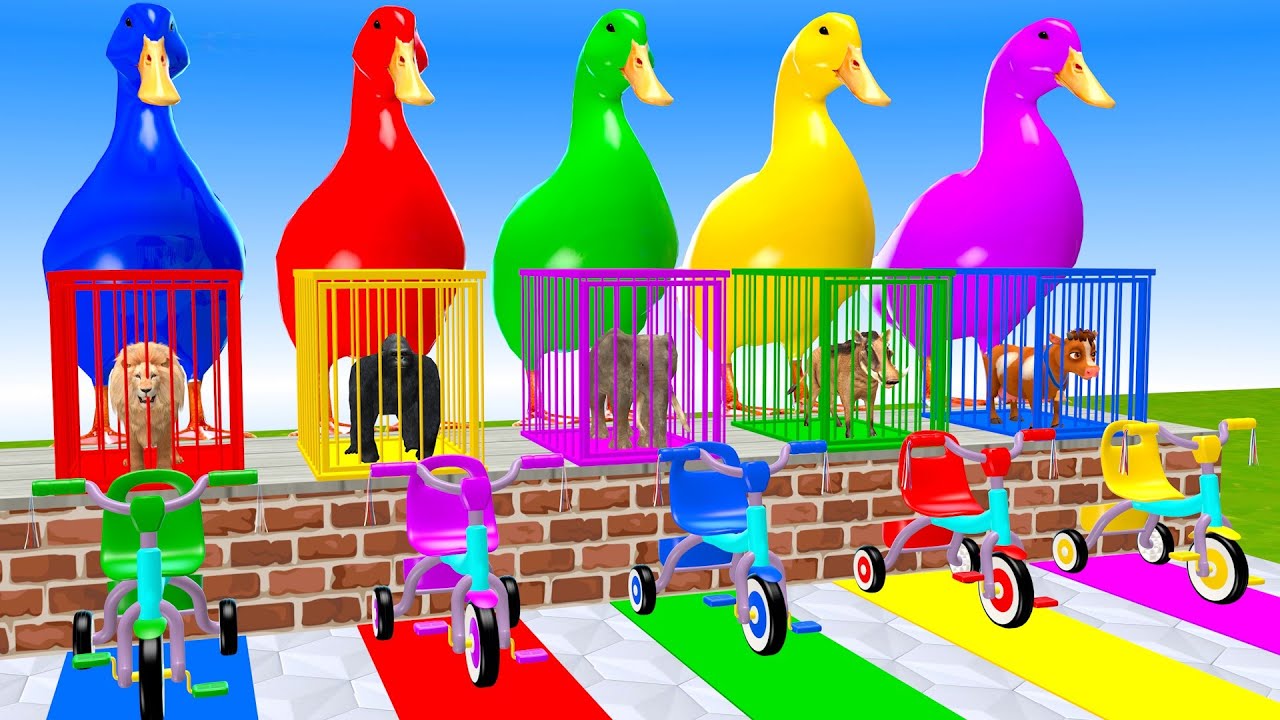 Long Slide Game With Elephant Lion Gorilla Warthog Cow 3d Animal Cage Game Funny 3d Animals