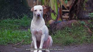 Ako, Inosente | A Florencio's story          Documentary Film