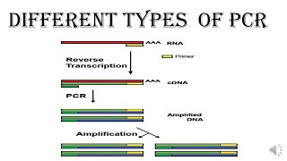 DIFFERENT TYPES  OF PCR
