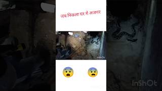 Indian rock python rescue #short video #vishal07