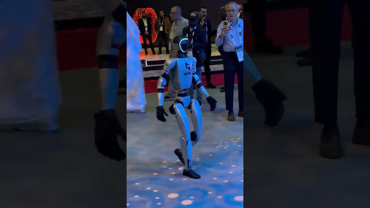 Meet The Awesome Unitree 