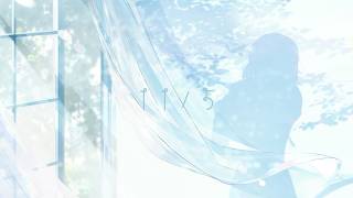 11/5 - 大和きり【Lyric Video】 