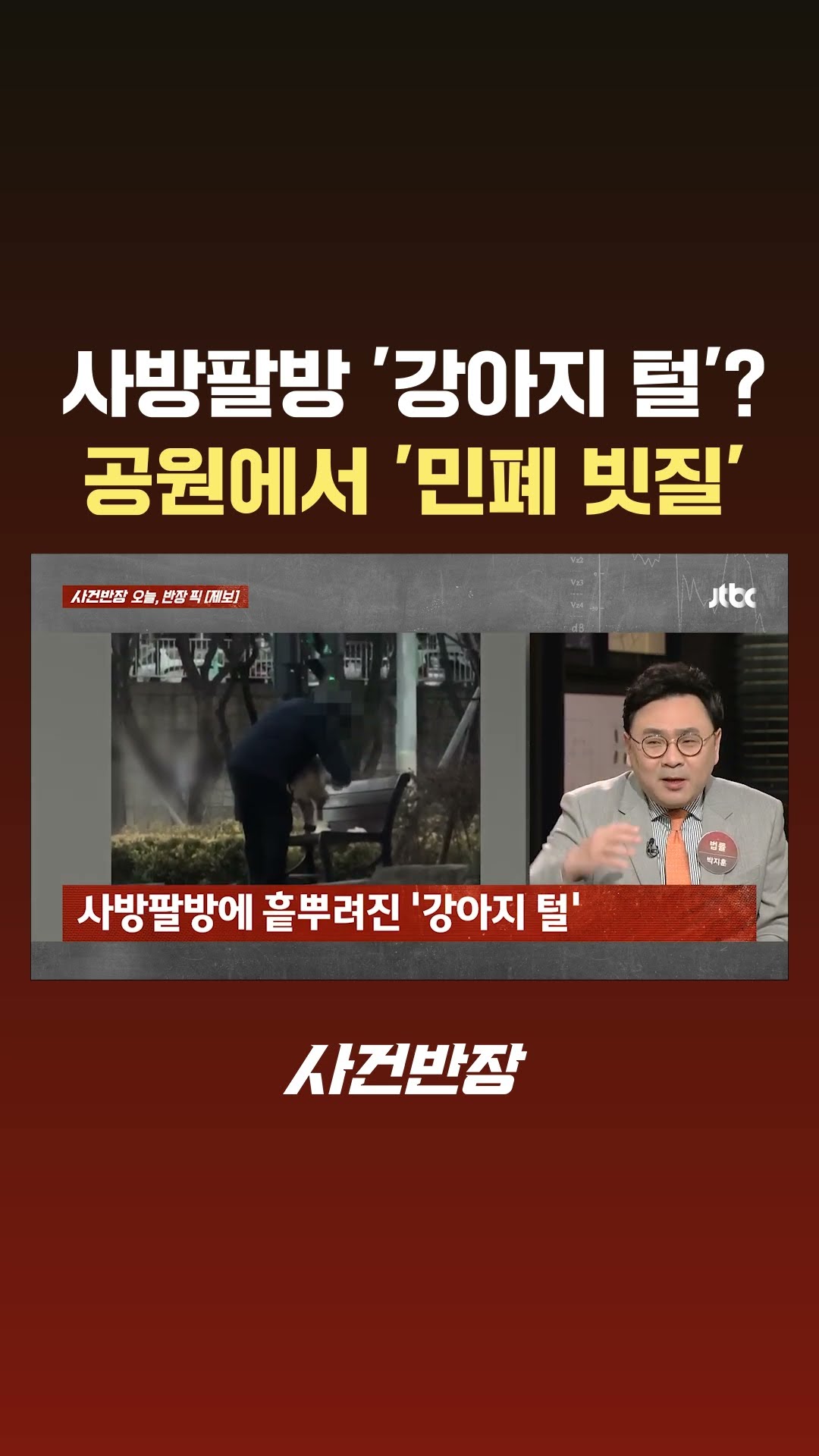 사방팔방에 '강아지 털'? 공원 벤치에서 '민폐 빗질' #JTBC #Shorts