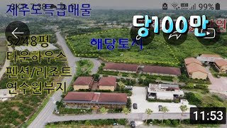 (제주도특급매물)👍 타운하우스,펜션,리조트,연수원부지추천🎯 가성비와조망권이최고인토지💕 애월읍하가리토지 🌈 기반시설완비✈ 황금빛세상TV⛳ 발품부동산제주🏠
