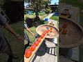 Marble Run Race ⭐︎ A Spectacular Marble Race by the Genius Guppy